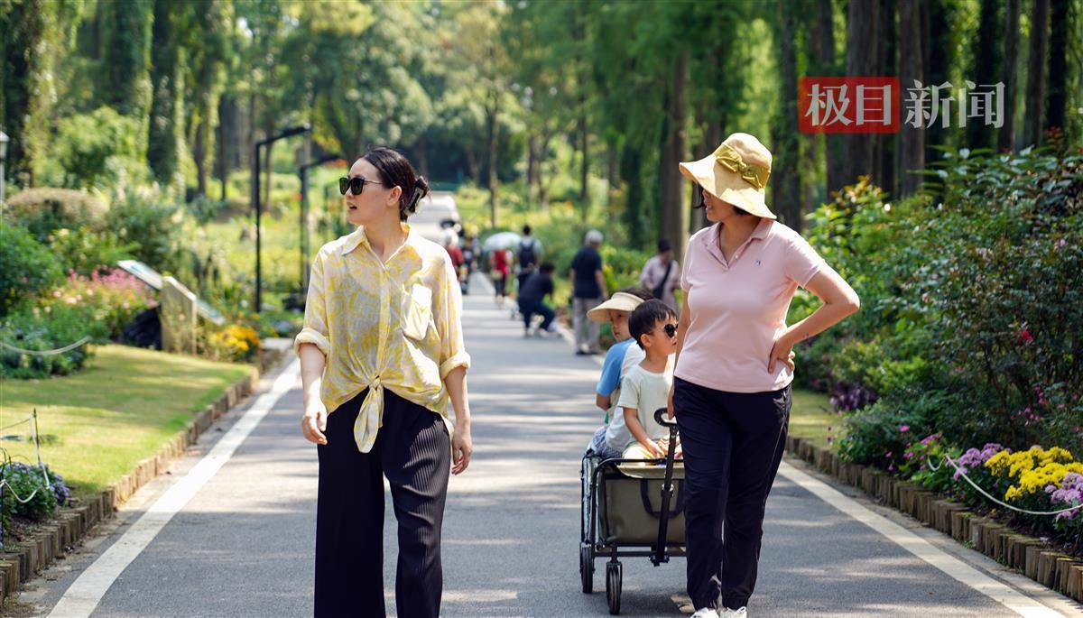 顺发国际是真的吗